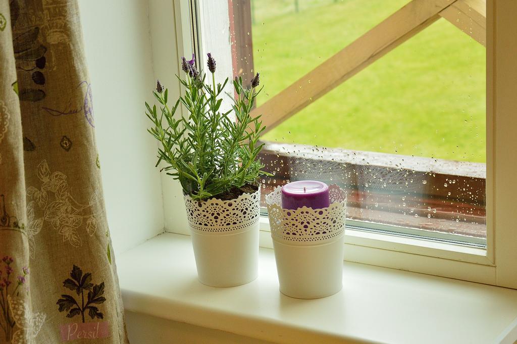 Lavandula Palanga Chambre photo
